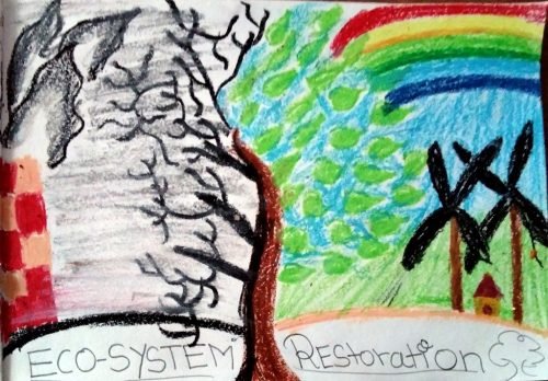 Colour-Art-6