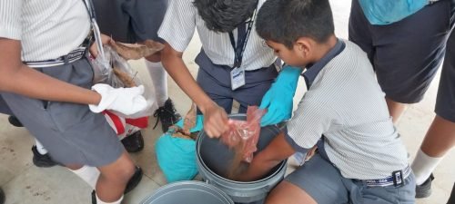 Nature club activity of dry composting
