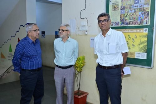 Foundation-Day-346